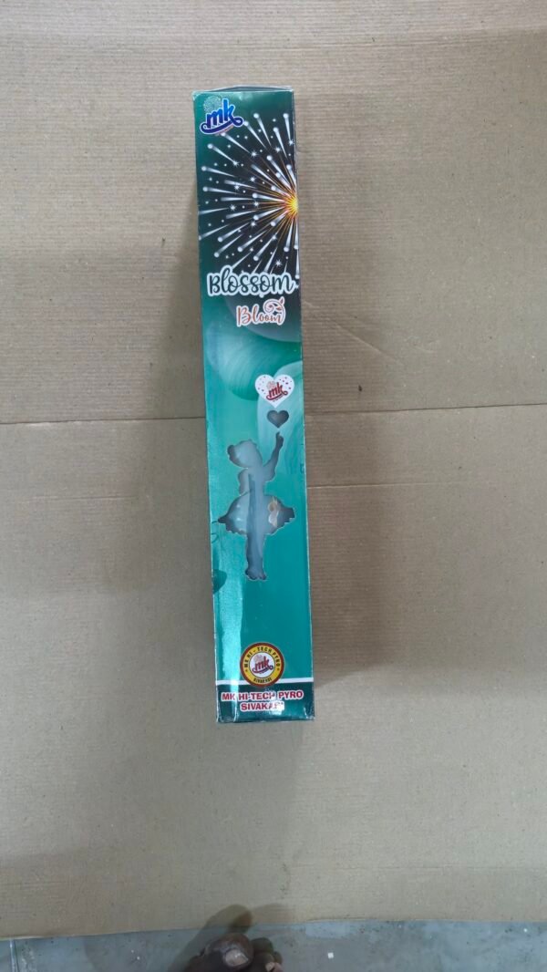4" Double Ball Fancy (1 box)