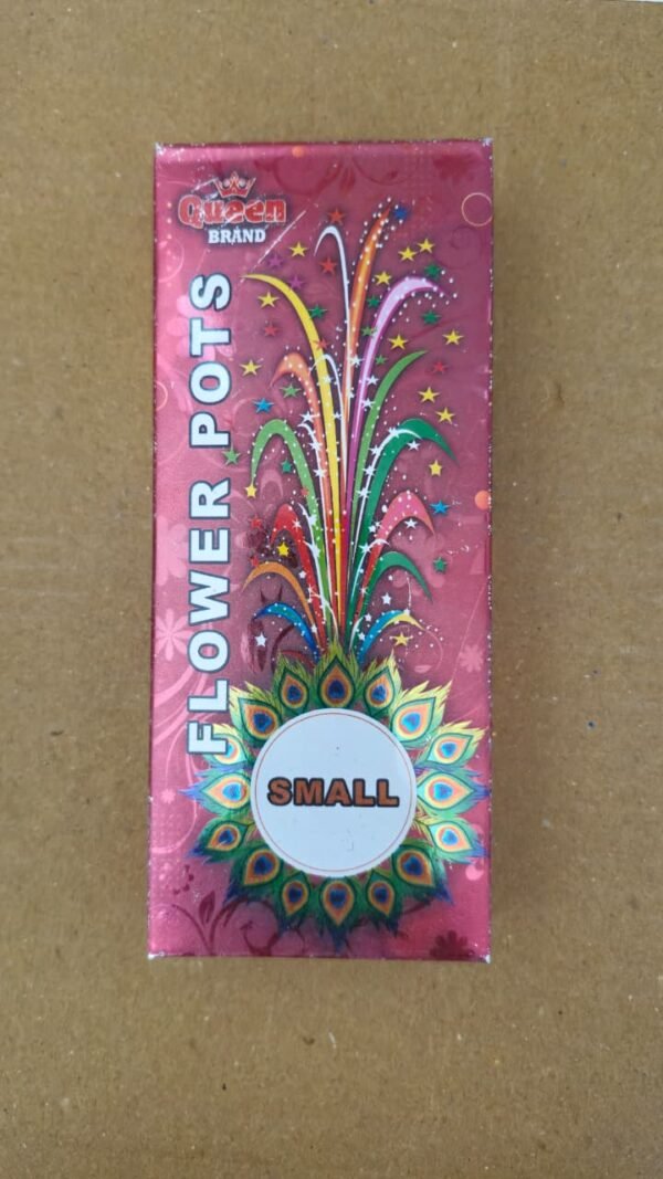 Flower Pots Small (1 Box)