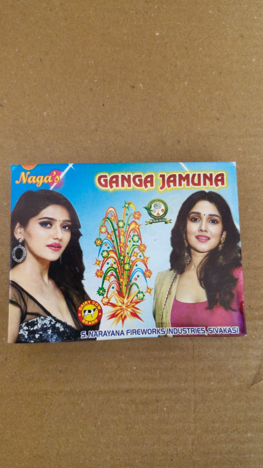 Ganga Jamuna