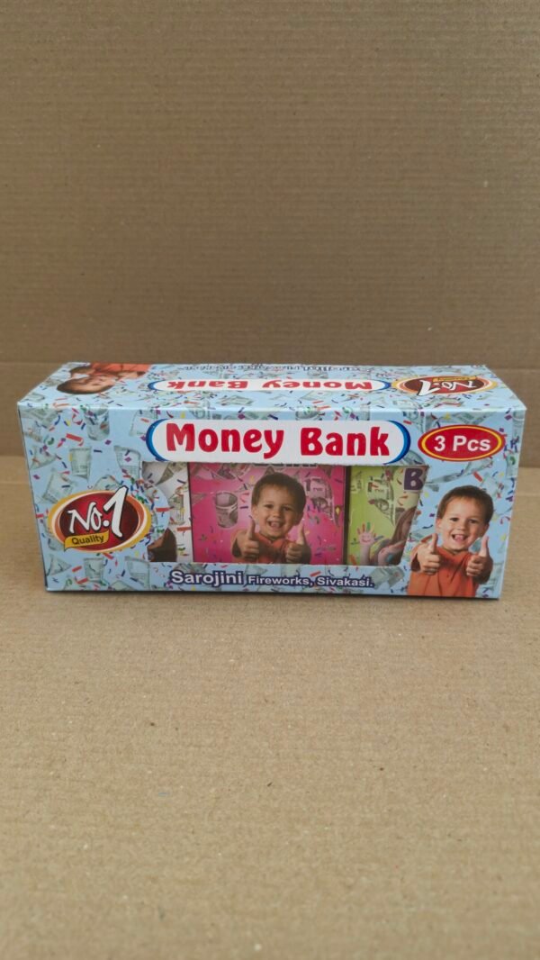 Money Bank(3 Pcs)